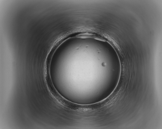 X0000116670582200912211605