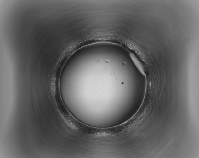 X0000116670586200912211605