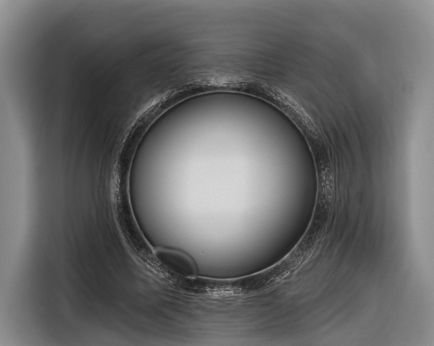 X0000116670587200912211605