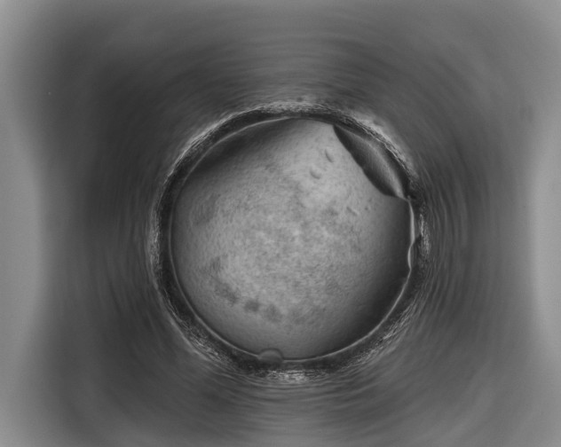 X0000116670588200912211605