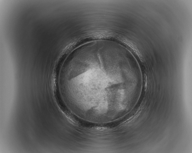 X0000116670590200912211605