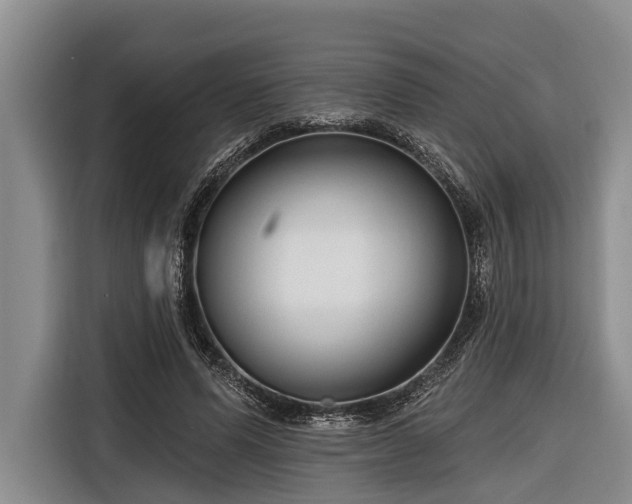 X0000116670591200912211605