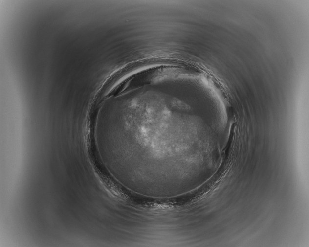 X0000116670592200912211605