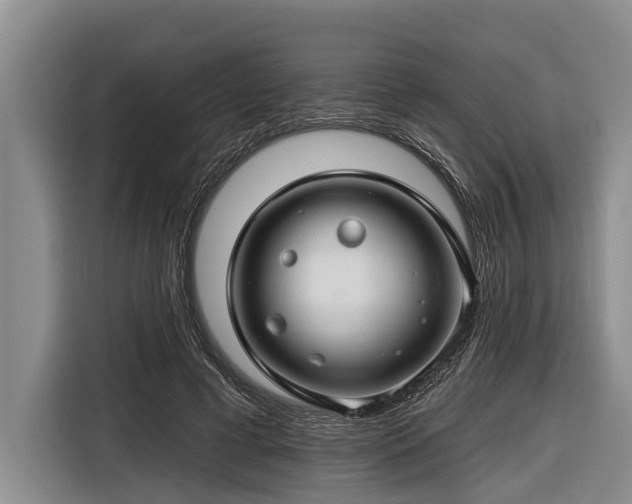 X0000116670593200912211605