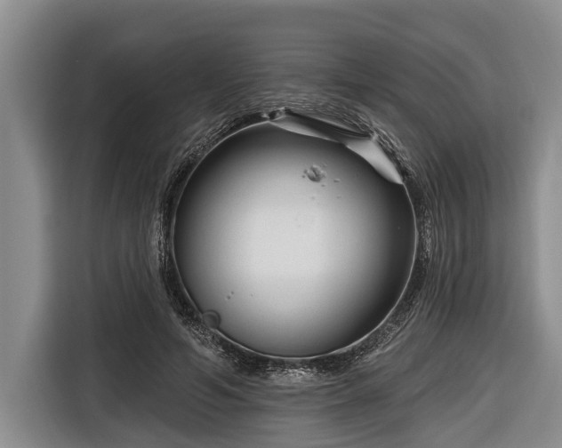 X0000116670594200912211605