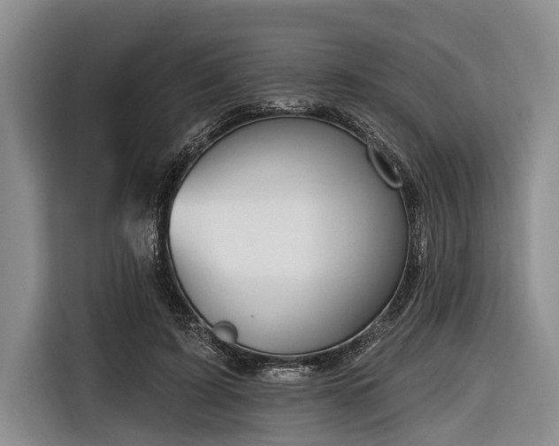 X0000116670595200912211605