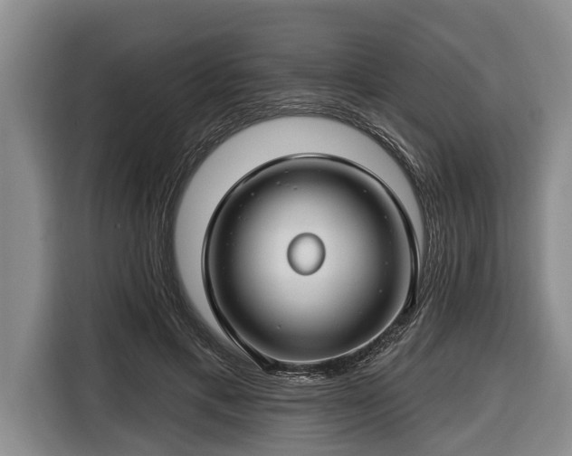 X0000116670597200912211605