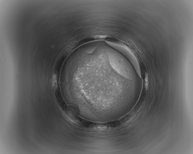 X0000116670598200912211605