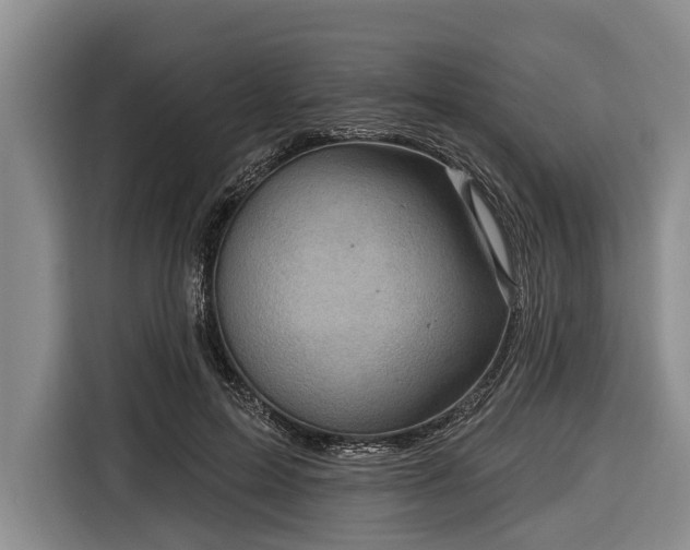 X0000116670599200912211605