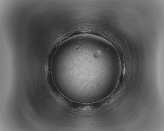 X0000116670600200912211605