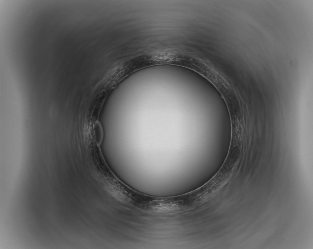 X0000116670601200912211605