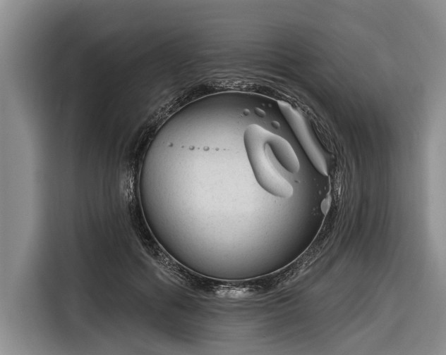 X0000116670602200912211605