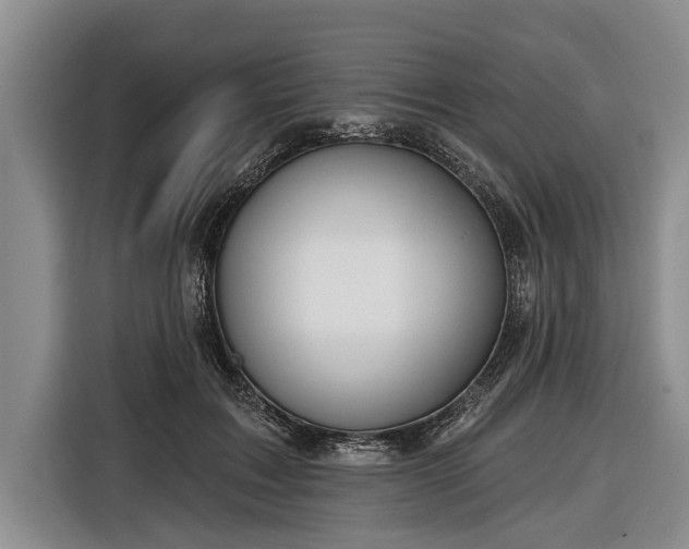 X0000116670603200912211605