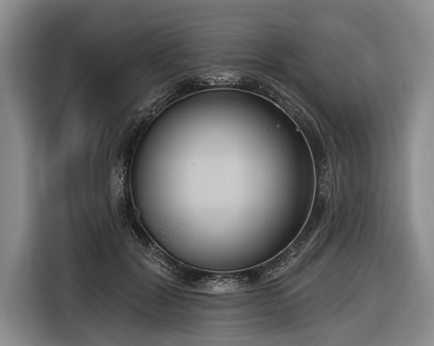 X0000116670604200912211605