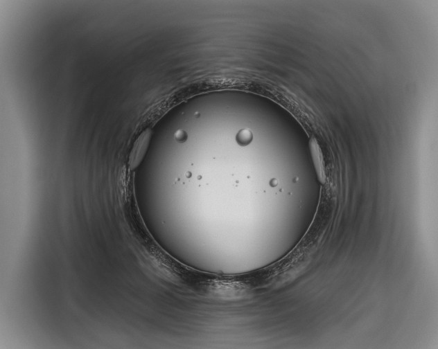 X0000116670605200912211605