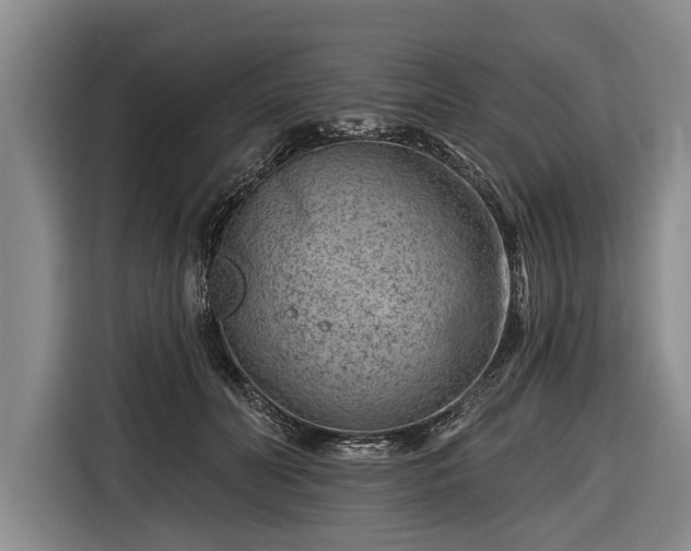 X0000116670606200912211605