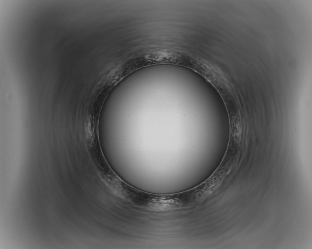 X0000116670607200912211605