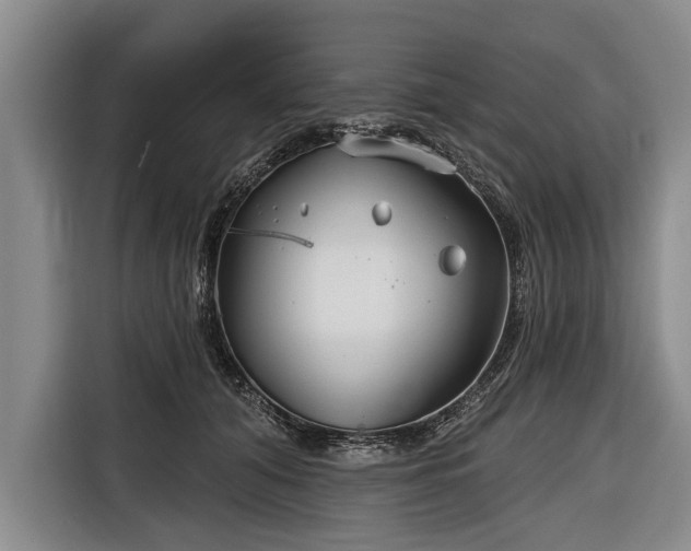 X0000116670608200912211605