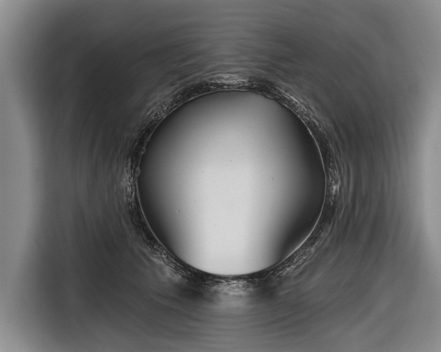 X0000116670609200912211605