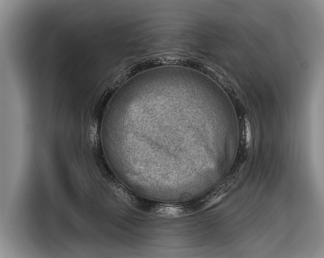 X0000116670610200912211605