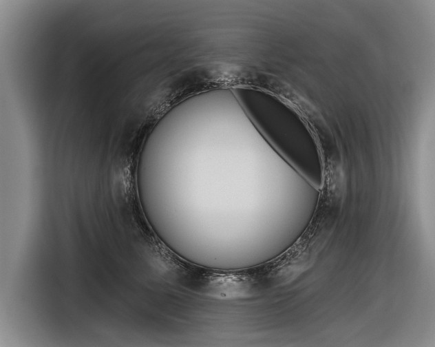 X0000116670611200912211605