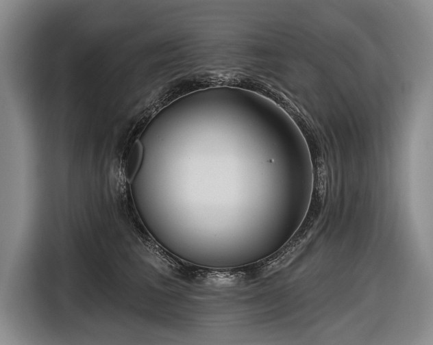 X0000116670613200912211605