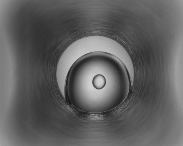 X0000116670617200912211605