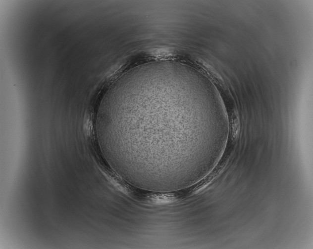 X0000116670618200912211605