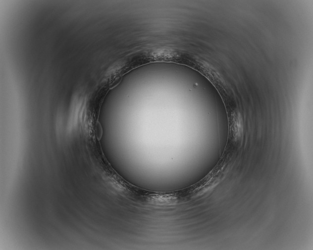 X0000116670619200912211605