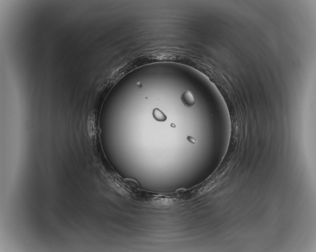 X0000116670620200912211605