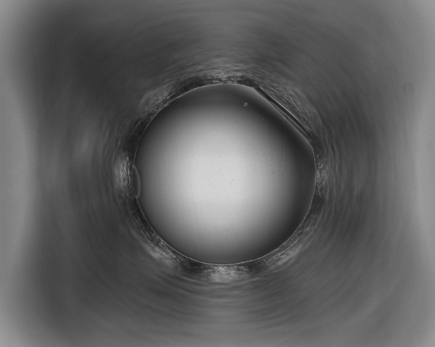 X0000116670623200912211605