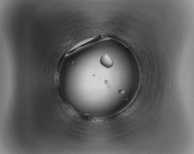 X0000116670624200912211605