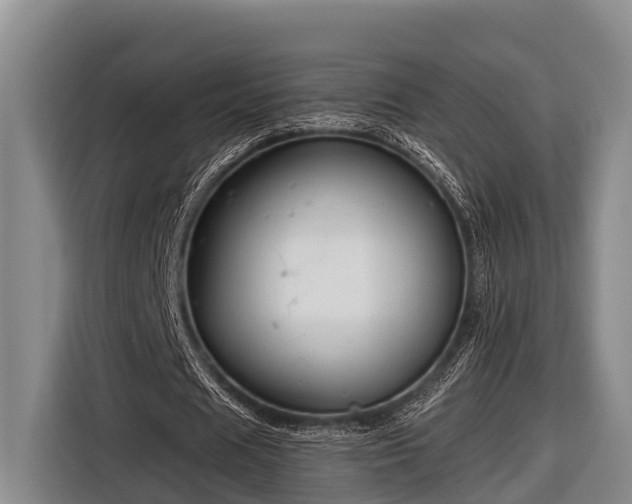 X0000116670625200912211604