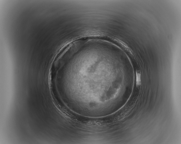 X0000116670627200912211604