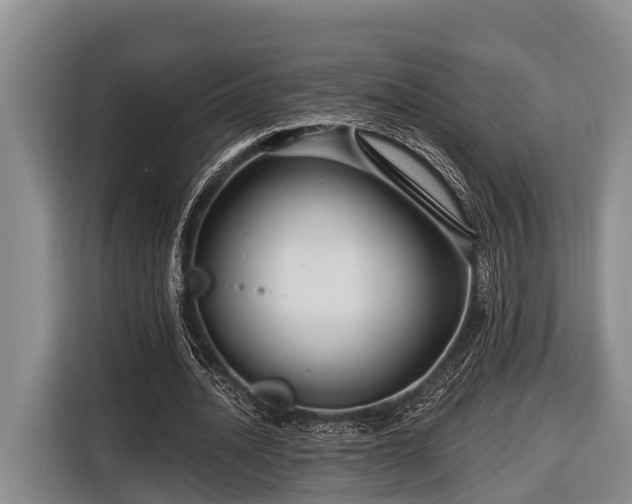 X0000116670628200912211604