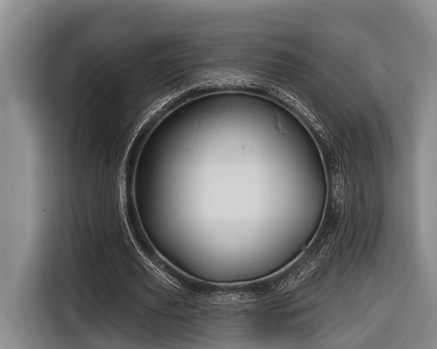 X0000116670629200912211604