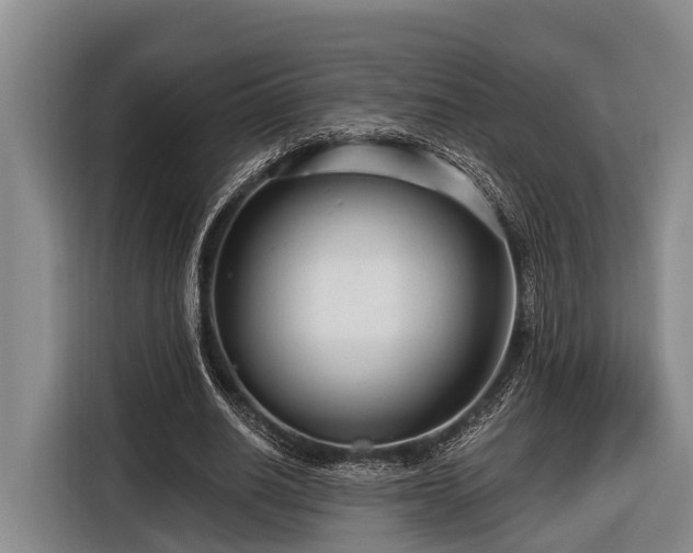 X0000116670630200912211604