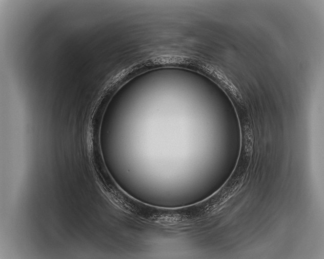 X0000116670631200912211604