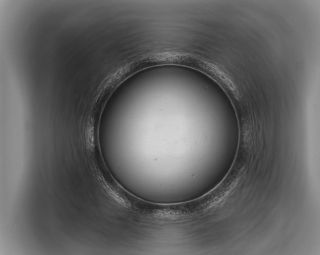 X0000116670633200912211604