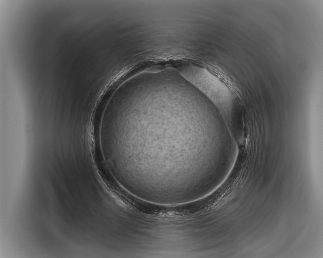 X0000116670634200912211604