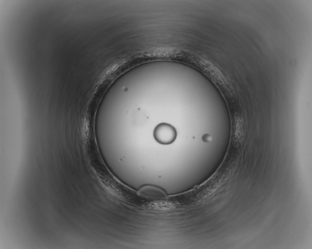 X0000116670636200912211604