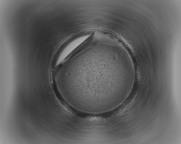 X0000116670637200912211604