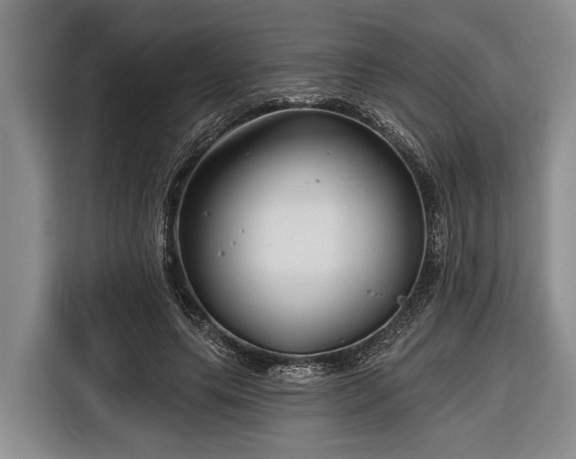 X0000116670639200912211604