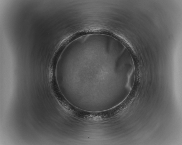 X0000116670640200912211604