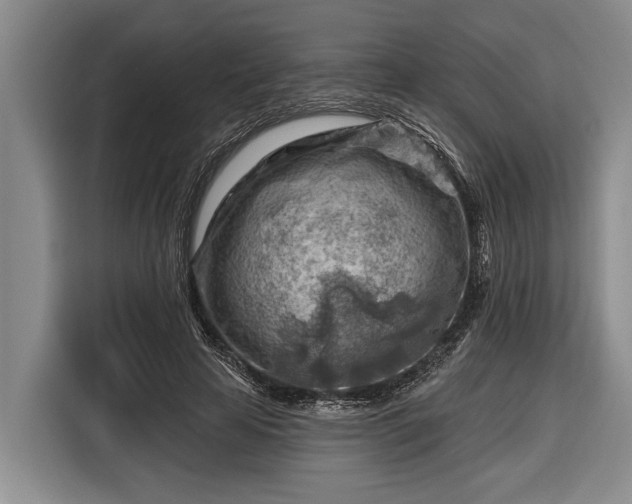 X0000116670641200912211604