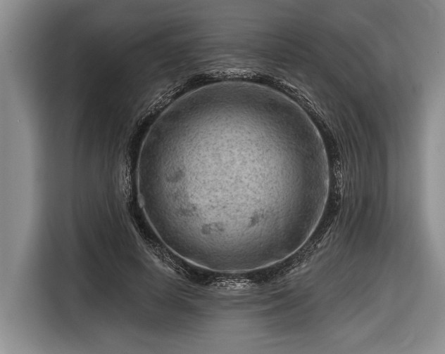 X0000116670642200912211604