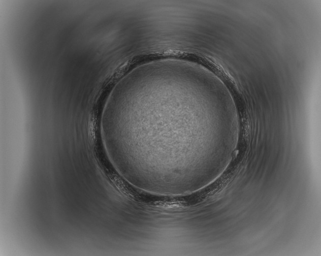 X0000116670643200912211604