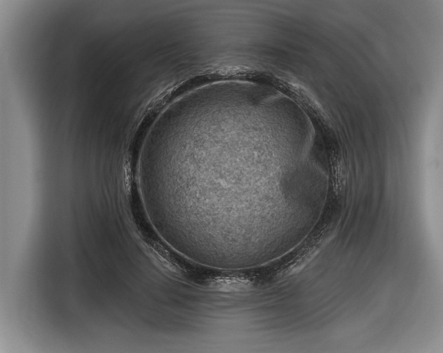 X0000116670644200912211604