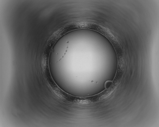 X0000116670645200912211604