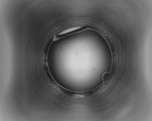 X0000116670649200912211604